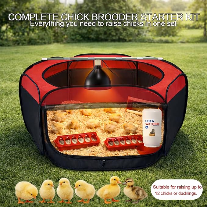 Chicken Brooder Box for Chick Starter Kit - 7 Pcs Chicken Feeder and Waterer Set with 75W Heat Lamp, Perch Stand to 15 Chicks, Duck, Quail