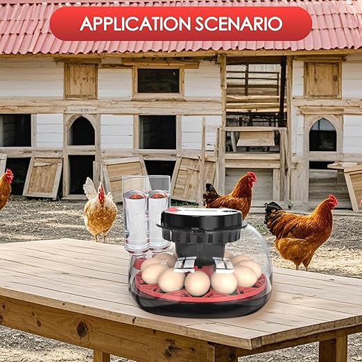 Incubators for Hatching Eggs Automatic Egg Incubator with Temperature Control Humidity Display 12 Egg Capacity for Chicken Duck Goose Eggs Digital Display Auto Turner 360° View