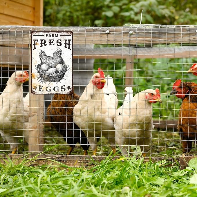 Vintage Chicken Coop Tin Sign Farm Fresh Eggs Retro Chicken Hen Rooster Metal Poster Funny Pet Lovers Wall Art Accessories for Coop Shop Bar Farmhouse Garden Plaque Farm 12 * 8inch