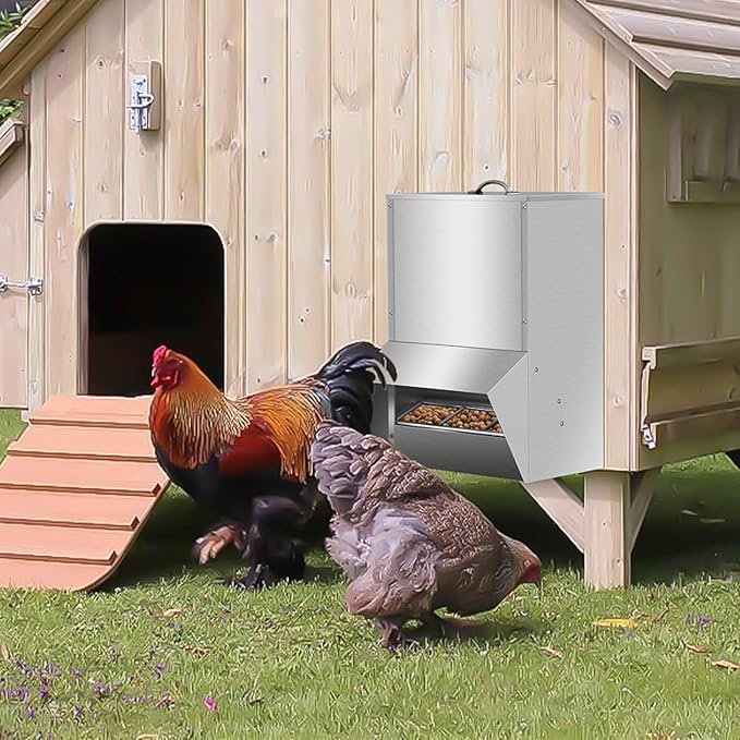 Automatic Chicken Feeder, 50lbs Capacity Weatherproof Steel Chicken Feeders No Waste, Rat Proof Poultry Feeder with Lid, Outdoor Coop Food Dispenser for Chicken and Rabbits