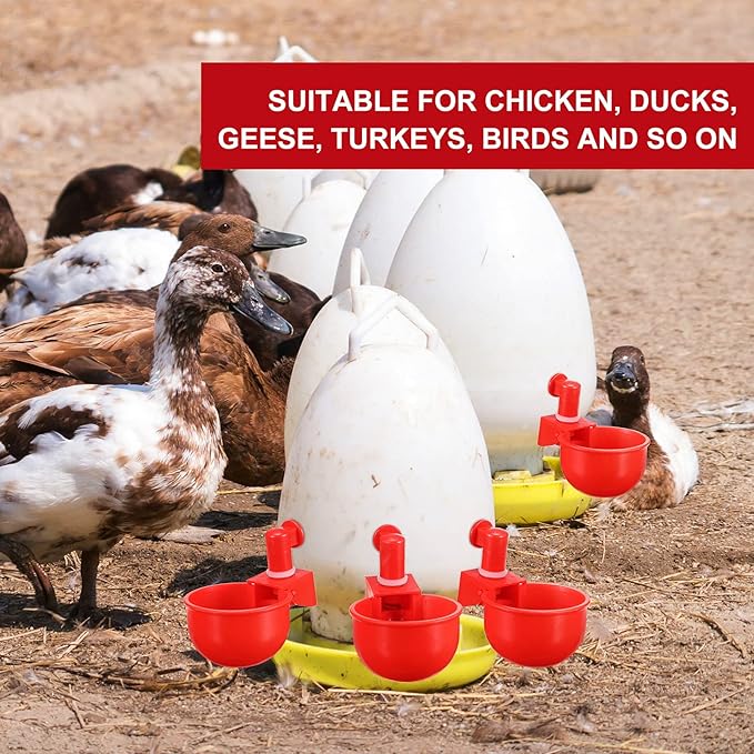 Patelai Chicken Water Cups, Chicken Waterer Cups Summer Water Feeder Cup 3/8 Inch Thread Automatic Filling Waterer Poultry Drinking Bowl for Duck Turkey Bunny(Red,48 Pieces)