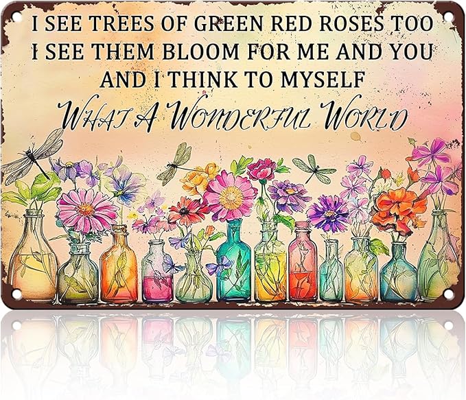 PEACHGARDEN Vintage Dragonfly Tin Sign What A Wonderful World Outdoor Garden Decor Gifts for Women House Kitchen Entryway Wall Art 8x12inch