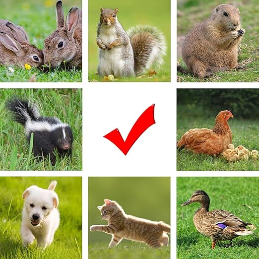 FenceMate AC Powered Electric Fence Charger Output 0.35J up to 7 Miles to Contain Pet, Poultry, Keep Rodent & Nuisance Animals Out, Used in Homestead, Garden, Pond, Orchard Fence Energizer up to 7 kV