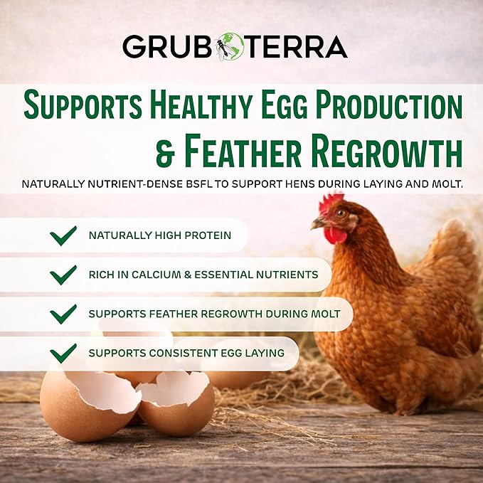 GrubTerra Black Soldier Fly Larvae for Chickens – Dried BSFL Poultry Treat, High Protein Calcium Feed Supplement for Laying Hens, Backyard Chickens, Sourced from Mexico, Not from China - 10LB