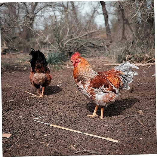 BESPORTBLE Chicken Catcher Hook Poultry Handling Tool for Chicken and Duck Capture Humane Design Versatile Use Farms and for Poultry Management