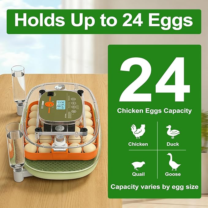 Ovatt 24-Egg Digital Incubator - Automatic Temperature and Humidity Control, LED Display, Automatic Rotation, External Water Refill - Ideal for Incubating Chicken, Duck, Quail, and Goose Eggs