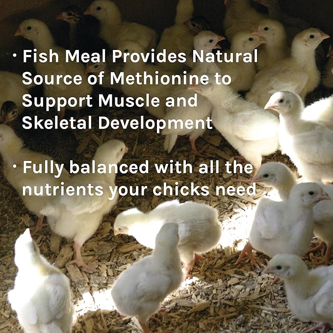 New Country Organics Starter Crumble for Chicks and Ducklings, 35 LBs