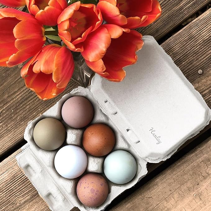 White Half Dozen Blank Egg Cartons – 6-Pack Flat Top Half-Dozen Holder, Recyclable Pulp, Ideal for Farm-Fresh Eggs, DIY Custom Labeling, Eco-Friendly Storage - 20 Pack
