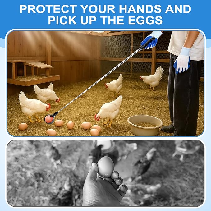 Lounsweer Egg Grabber for Chicken Eggs,15.7-76inch Extendable Stainless Steel Egg Picker Tool with (1pcs Extended Handle&1pair Non-Slip Gloves) for Picking from Coop Poultry Nest Farm Use (Blue)