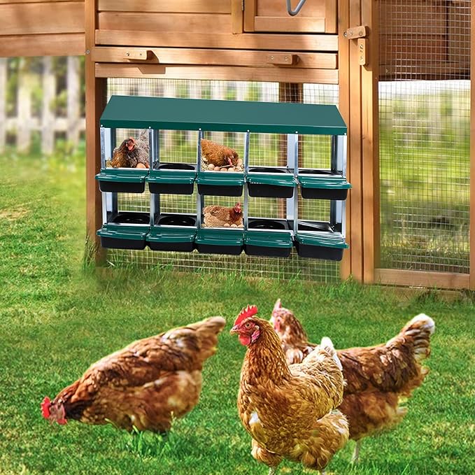 Chicken Nesting Boxes 10 Cells Metal Chicken Nesting Box - Heavy Duty Roll Away Design with Lid Cover & Swing Perch, Easy-Clean Egg Collection System for Chicken Coops - Orange