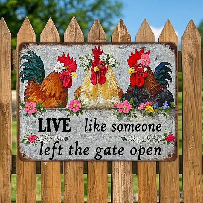 Chicken Wall Decor Sign Live Like Someone Left The Gate Open Tin Poster Funny Farm Chicken Coop Metal Tin Signs 12x16 Inch Home Kitchen Garden Restaurant Rooster Outdoor Yard Wall Art Decor