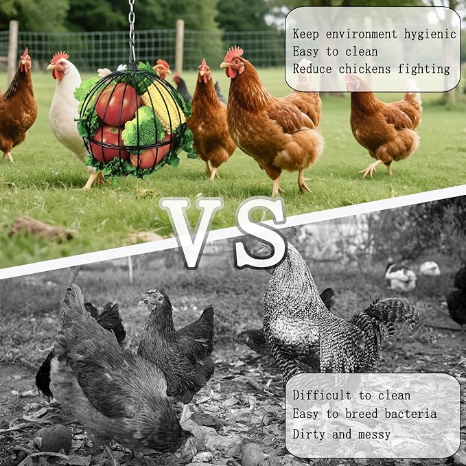 Hanging Chicken Feeder,7.4 Inch Large Chicken Vegetable Hanging Feeder,Metal Chicken Ball Cage with 19.6 Inch One Stainless Steel Chain (2 Pack)