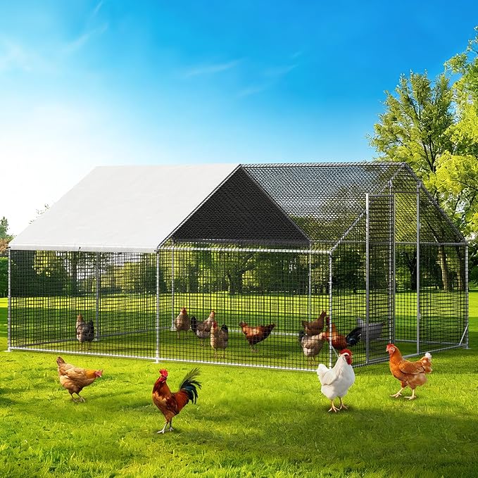 LEVELEVE Large Walk-in Chicken Coop with Chicken Run, Galvanized Poultry Enclosure with Waterproof Anti-UV Cover and Security Lock, Ideal for Rabbit, Duck, Backyard and Farm Yard，13.1'x 9.8'x 6.6'
