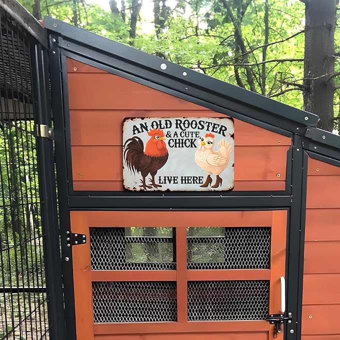 Funny Cute Vintage Chicken Coop Metal Tin Signs Plaque An Old Rooster & A Cute Chick Live Here Home Farmhouse Kitchen Wall Decor 12x8 Inch