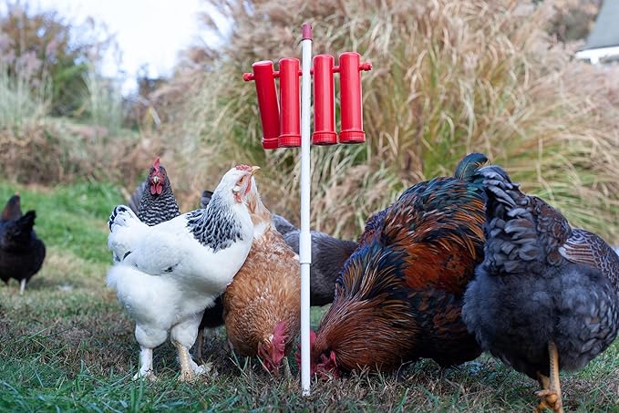 RentACoop Chicken Treat Dispenser - Suitable for Small and Large Treats - Includes Post for Indoor and Outdoor Placement - Large Size with 4 Tubes