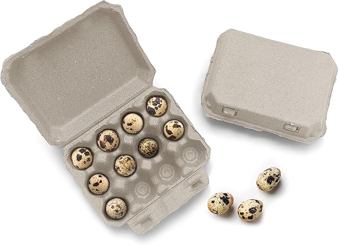 Henlay Quail Egg Cartons - Recycled Cardboard Paper Pulp 3x4 Square Style - Holds One Dozen Quail Eggs- Bulk (144)