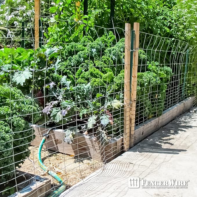 Fencer Wire 16 Gauge Galvanized Super Rabbit Guard Garden Fence, Welded Wire Fence for Preventing Rabbits, Dogs, Cats, Chickens, and Other Small Animals from Damaging The Garden (24 in. x 50 ft.)