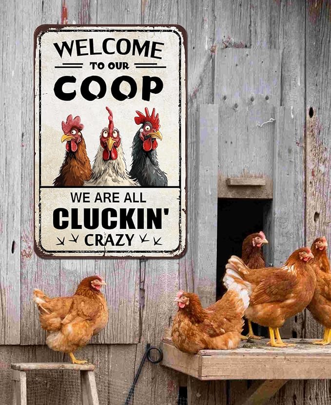 Chicken Coop Accessories Funny Chicken Signs Rooster Decorations Chicken Stuff For Farmhouse Farm Kicthen Decor Welcome To Our Coop 12x8 Inches