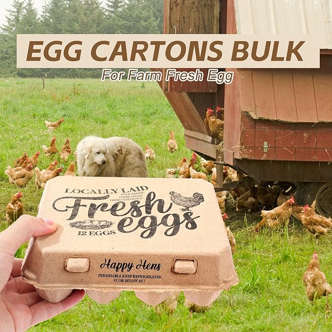 Zhanmai 25 Pcs Natural Paper Pulp Egg Cartons Blank Bulk Square Chicken Egg Cartons 12 Count Dozen Vintage Classical 3 x 4 Style Cardboard Egg Tray for Family Farm Market Storing