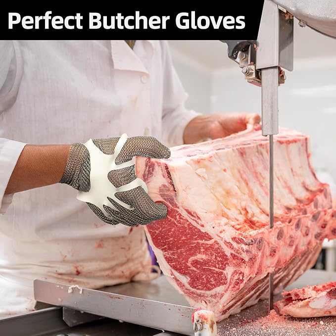Schwer ProGuard-X A9 Cut Resistant Stainless Steel Metal Mesh Chainmail Glove PM5201 Butcher Glove for Meat Cutting Food Processing Knife Sharpening Oyster Shucking Kitchen Fish Fillet, XL