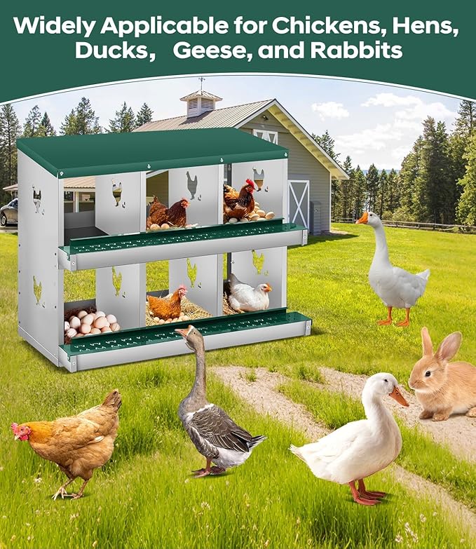 Green Durable Design - Metal Chicken Nesting Box for Small Animals - 6 Compartments, Wall-Mounted, Easy Egg Collection, No Legs, Ideal for Hens and Poultry - Green, 6 Compartments, No Legs