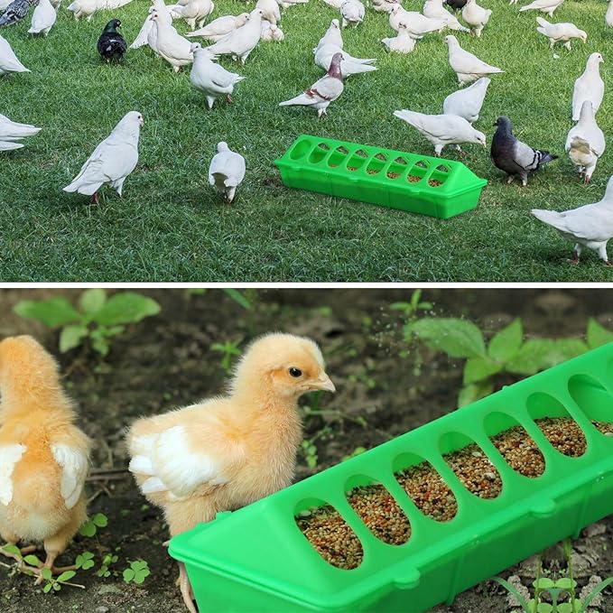 Flip Top Chick Feeder Trough Plastic Flip Top Bird Small Poultry Feeder Chicken Pigeon Duck Quail Feeder Waterer Small Chicken Feeders No Waste No Mess (Green)