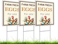 Set of 3 Double Sided 12x16 Inches Farm Fresh Eggs For Sale Sign with Metal H-Stakes - Fresh Chicken Eggs For Sale Sign - Plastic Farm Fresh Eggs Sold Here Yard Sign - Signs Chicken Coop Decoration