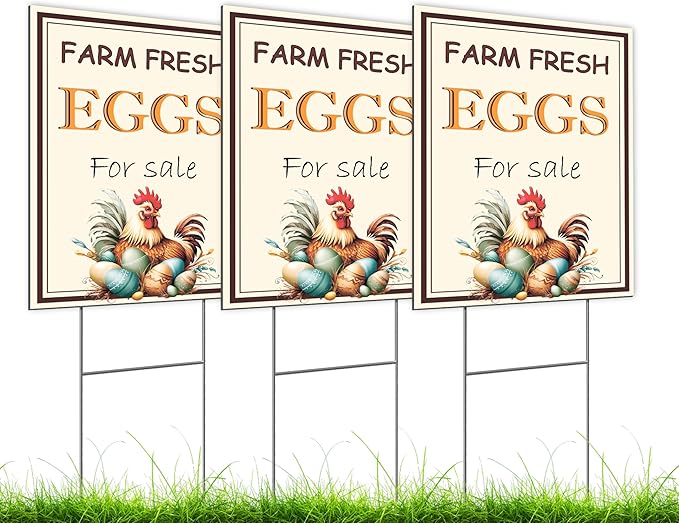 Set of 3 Double Sided 12x16 Inches Farm Fresh Eggs For Sale Sign with Metal H-Stakes - Fresh Chicken Eggs For Sale Sign - Plastic Farm Fresh Eggs Sold Here Yard Sign - Signs Chicken Coop Decoration