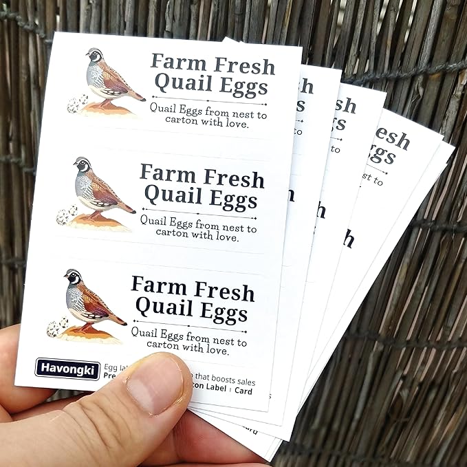 120 Quial Egg Carton Labels Stickers | White | Farm Fresh Eggs | 4 6 12 15 18 30 48 50 Count - Basket Box Container Extra Organizer Farm Supplies, 66mm x 26mm