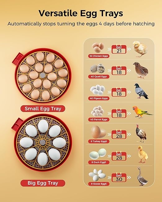 Egg Incubator, Automatic Egg Incubator, 18 Egg Incubator, Incubator for Hatching Eggs, Chicken Egg Incubator – Temperature & Humidity Control, Auto Turner, Alarm & Candling for Backyard Home