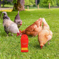 Gravel Feeder - Oyster Shell and Grit Feeder, Versatile Oyster Shell Feeders for Chickens,Hanging Chicken Feeders Trough,Precision Nutrition, Chickens Coop Accessories for Poultry (c)