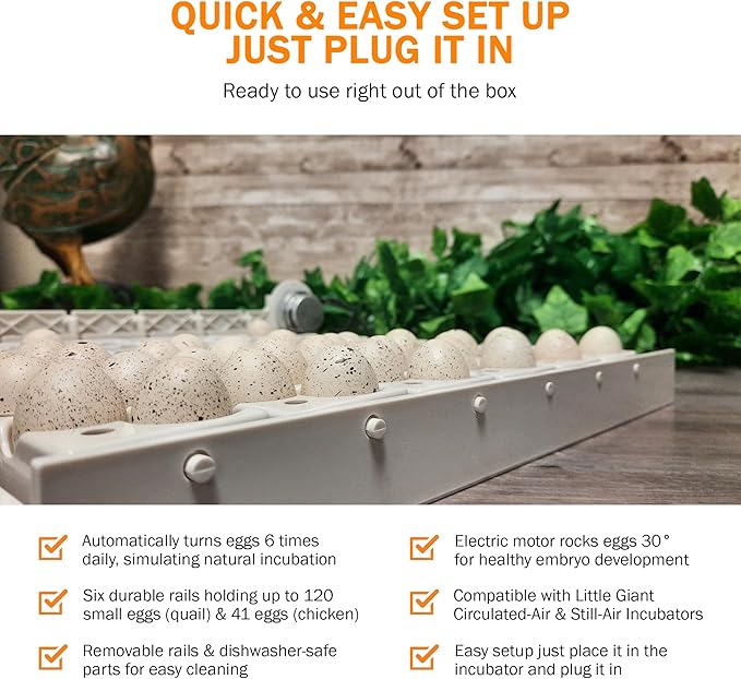 Little Giant Automatic Egg Turner 6300 w Quail Rails