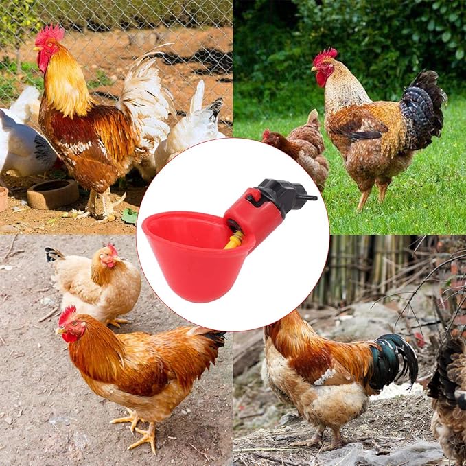 MOTOKU Poultry Quail Chicken Hen Duck Automatic Water Drinking Cups Waterer Drinker with Nuts 30 Pack