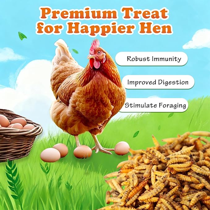 Amzey Dried Black Soldier Fly Larva/Dried Mealworms -2 LBS- 100% Natural BSF Larvae - 85XMore Calcium Than Mealworms - High Calcium Treats for Chickens, Birds, Reptiles, Hedgehog, Geckos, Turtles