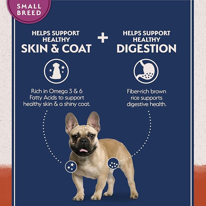 Natural Balance Limited Ingredient Small Breed Adult Grain-Free Dry Dog Food, Salmon & Sweet Potato Recipe, 4 Pound (Pack of 1)