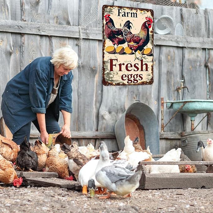 Metal Chicken Sign Chicken Coop Signs Vintage Tin Signs Funny Chicken Sign Rustic Farm Fresh Eggs Sign Chicken Poster Farmhouse Kitchen Decor Chicken Coop Decor Kitchen Wall Art Chicken Gifts