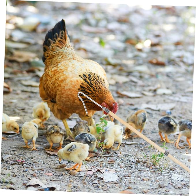 POPETPOP Heavy Duty Chicken Catcher Hook Pole Poultry Handling Tool for Farms Humane Capture and Efficient Chicken Catching