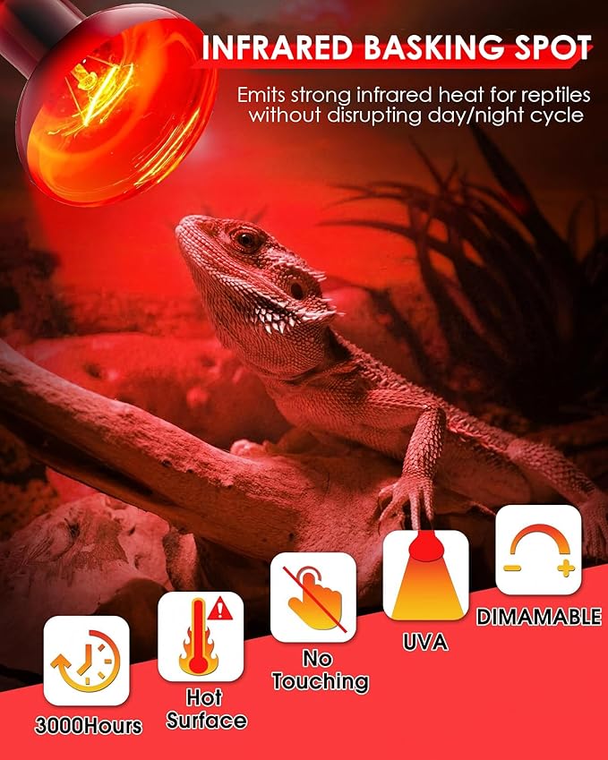 EvaStary 100W Infrared Heat Lamp Bulbs, 2 Pack UVA Reptile Basking Spot Light for Reptiles, Red Heat Lamp Bulb for Bearded Dragon,Turtle,Snake, Chickens, Pets