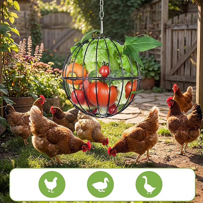 Hanging Chicken Feeder - 7.1 Inch Metal Chicken Treat Holder Ball with Hanging Chain, Sturdy Poultry Vegetable Fruits Feeder Basket for Chicken Coop