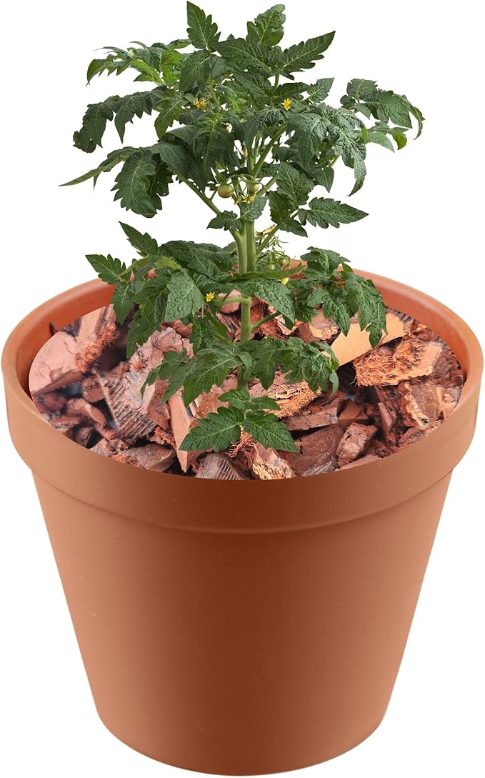 Brown Rubber Mulch for Landscaping - Durable and Eco-Friendly Garden Mulch - Perfect for Garden, Potted Plants & Outdoor Decor - 2 Quarts