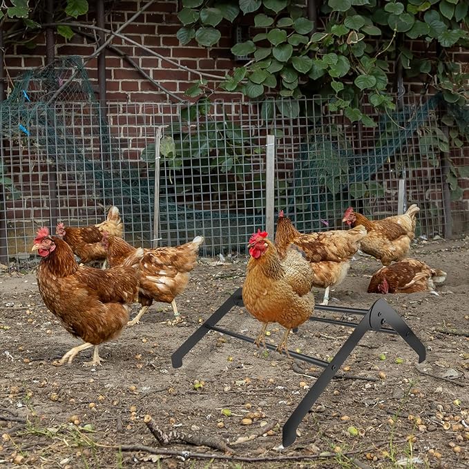 Chicken Perch Roosting Bars for Coop, Adjustable Farm Chicken Perches for Coop, Metal Roost Ladder, Chick Roosting Bars for Brooder, Baby Chicken Toys for Hens Birds, Black