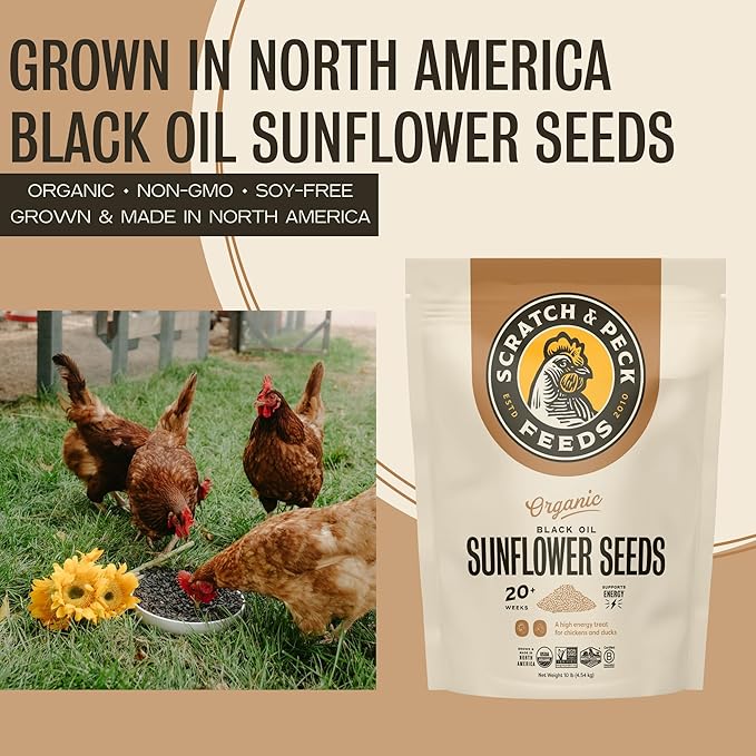 Scratch and Peck Black Oil Sunflower Seeds Chicken and Duck Treat - 7 lbs Bag - 15% Protein, Certified Organic and Non-GMO Project Verified Chicken Food