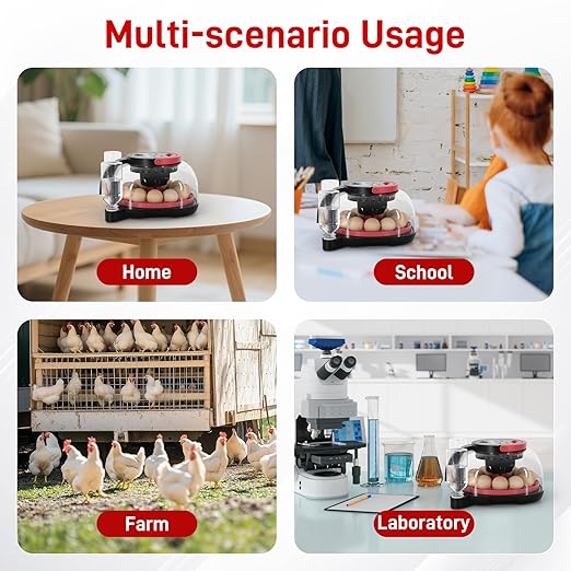 Automatic Egg Incubator for 12 Chicken Eggs with Camera APP Control, Temperature & Humidity Monitor, Auto Egg Turner, Record Life's Birth Moments for Chicken Duck Quail Pigeons