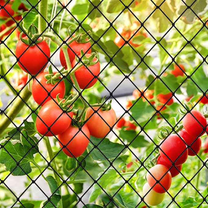 Bird Netting - 3/4" Mesh Net, 50x100ft Heavy Duty Nylon for Garden Protection, Poultry and Chicken Coop, Fruit Trees, Orchards Against Squirrels, Deer, Hawk