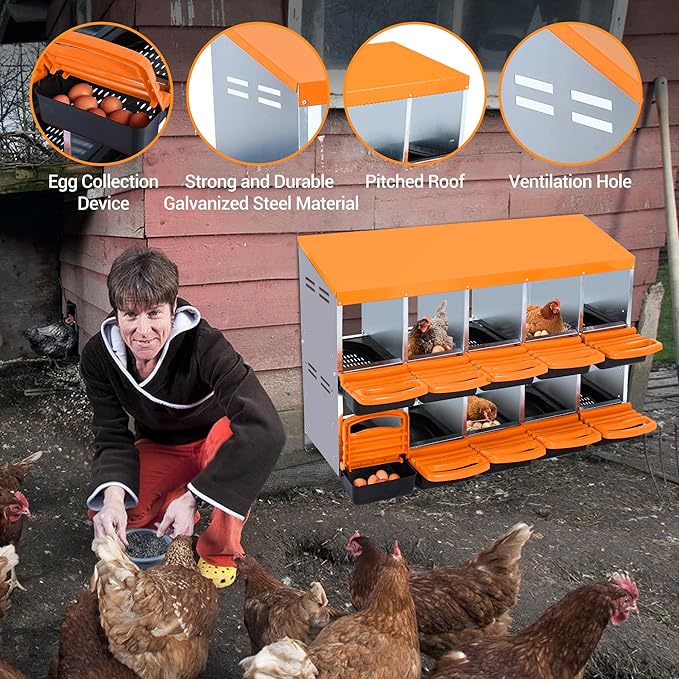 Chicken Nesting Box 10-Hole Roll Away Egg Laying Box with Lid, Galvanized Steel Rustproof Poultry Coop Box, Easy Clean, Wall Mountable No Bracket Needed for Hens, Orange