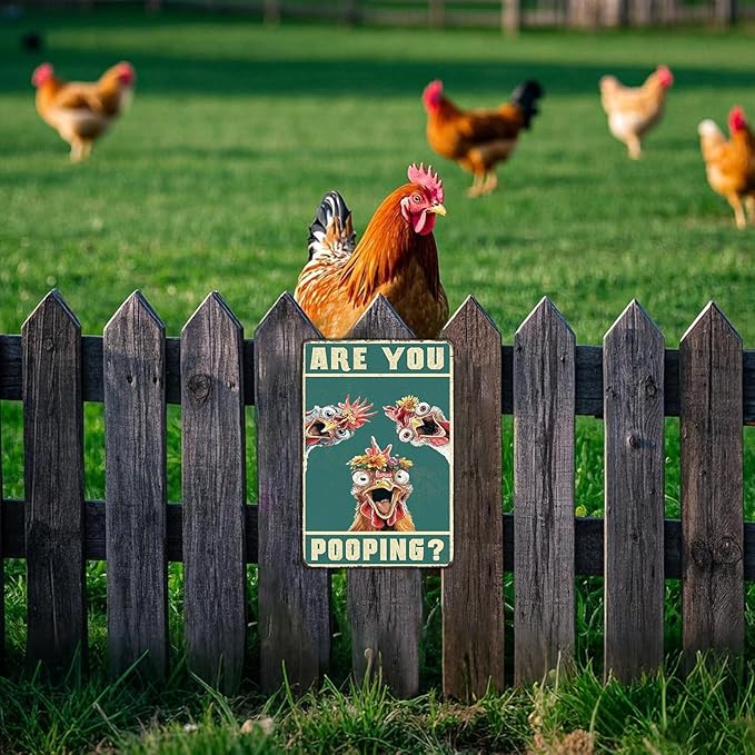 Vintage Are You Pooping Chicken Metal Sign Funny Chicken Coop Farm Metal Poster Home Kitchen Bathroom Garden Toilet Tin Sign Wall Decor 12x8 Inch