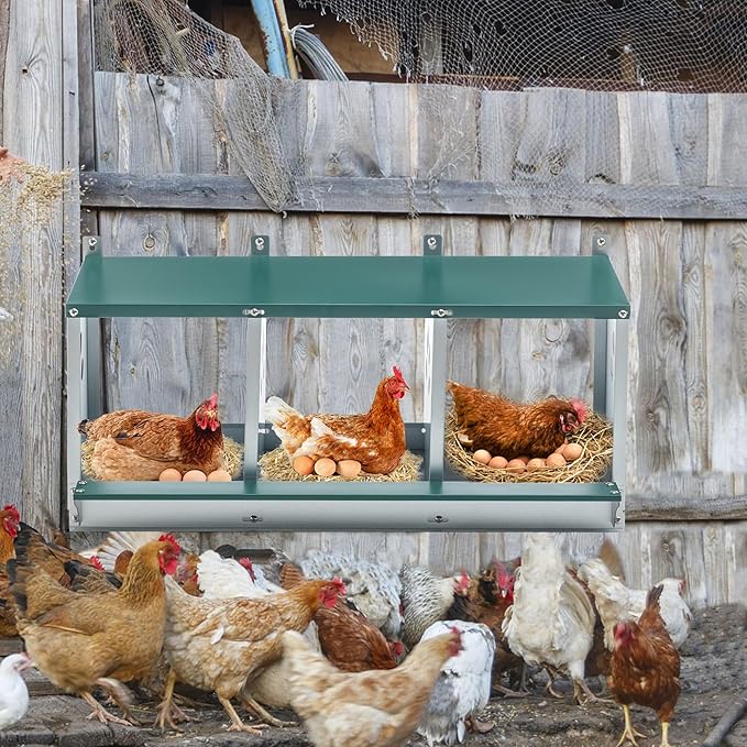 Chicken Nesting Box, 3 Compartment Wall Mount Metal Chickens Laying Boxes for Hens, Ducks, Roll-Out Egg Collection for Chicken Coop, Backyard, Farms, Green