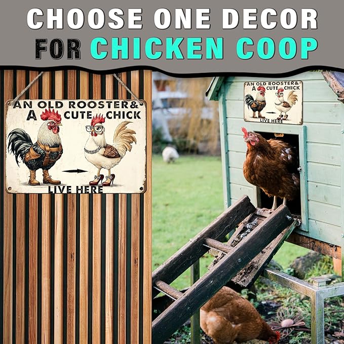 PEACHGARDEN Funny Chicken Metal Sign An Old Rooster A Cute Chick Live Here Vintage Tin Sign for Home Farm Chicken Coop Farmhouse Kicthen Garden Decor 8X12inch