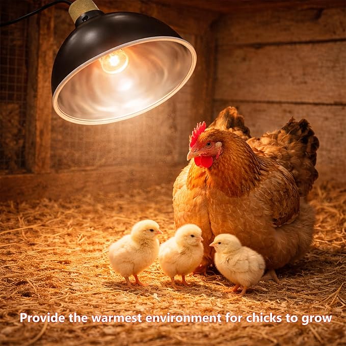 Chick Heat Lamp, 5 Pcs Chick Starter Kit with Chick Feeder and Waterer Set, Chick Stand Perch, Baby Chicken Supplies for Baby Chick, Duck and Quail