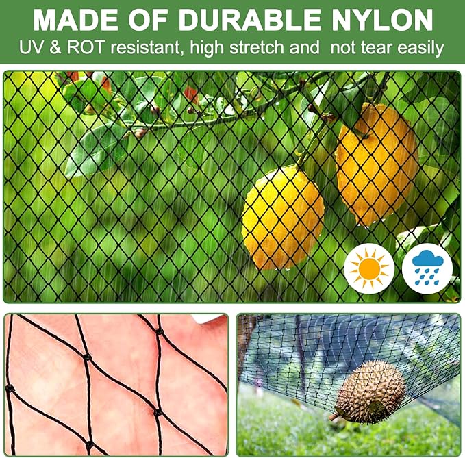 DQS Bird Netting for Garden Protection - 25x100ft Heavy Duty Poultry Netting, 2.4' Mesh, Ideal for Chicken Coops, Fruit Trees, Vegetables & More